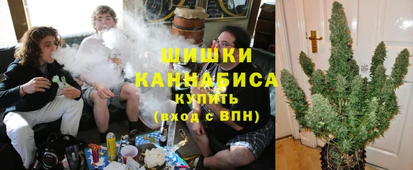 spice Вяземский